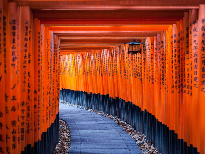 Senbon Torii: Thousand Torii Gates at Fushimi Inari Taisha.